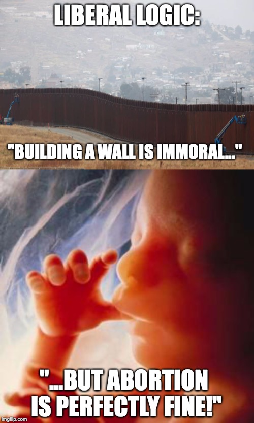 Yes, they are that stupid! | LIBERAL LOGIC:; "BUILDING A WALL IS IMMORAL..."; "...BUT ABORTION IS PERFECTLY FINE!" | image tagged in memes,politics,abortion,trump,liberal logic,build the wall | made w/ Imgflip meme maker