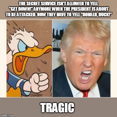 CORNY? | THE SECRET SERVICE ISN'T ALLOWED TO YELL "GET DOWN!" ANYMORE WHEN THE PRESIDENT IS ABOUT TO BE ATTACKED. NOW THEY HAVE TO YELL "DONALD, DUCK!"; TRAGIC | image tagged in donald trump | made w/ Imgflip meme maker