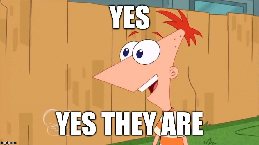 Phineas Yes I am | YES YES THEY ARE | image tagged in phineas yes i am | made w/ Imgflip meme maker