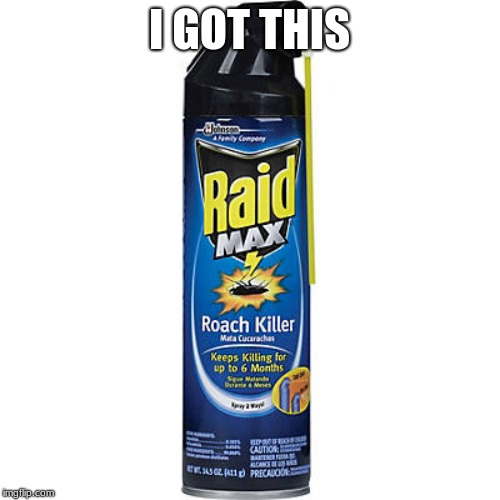 I GOT THIS | image tagged in raid max roach killer | made w/ Imgflip meme maker