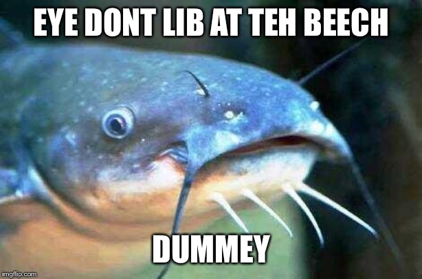 EYE DONT LIB AT TEH BEECH; DUMMEY | made w/ Imgflip meme maker