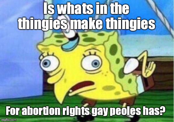 Mocking Spongebob Meme | Is whats in the thingies make thingies For abortion rights gay peoles has? | image tagged in memes,mocking spongebob | made w/ Imgflip meme maker