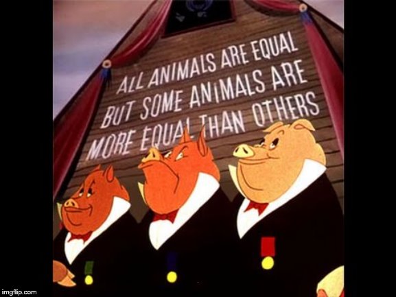 Animal Farm Pigs | . | image tagged in animal farm pigs | made w/ Imgflip meme maker