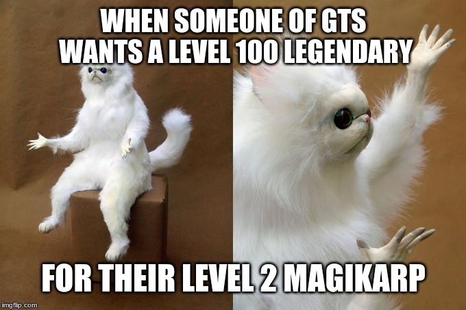 Persian Cat Room Guardian Meme | WHEN SOMEONE OF GTS WANTS A LEVEL 100 LEGENDARY; FOR THEIR LEVEL 2 MAGIKARP | image tagged in memes,persian cat room guardian | made w/ Imgflip meme maker