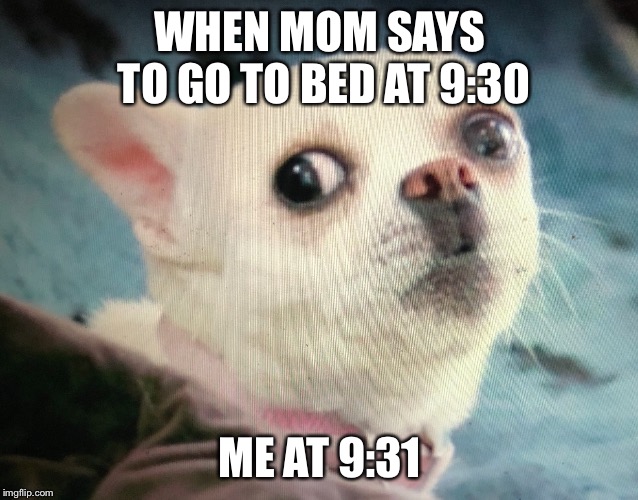 WHEN MOM SAYS TO GO TO BED AT 9:30; ME AT 9:31 | image tagged in memes | made w/ Imgflip meme maker