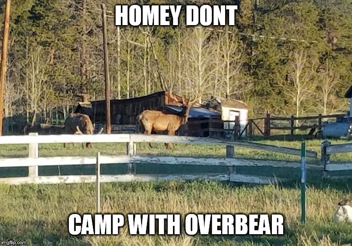 HOMEY DONT; CAMP WITH OVERBEAR | made w/ Imgflip meme maker