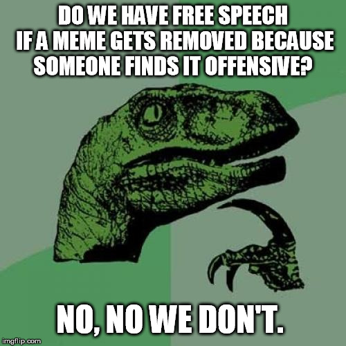 Philosoraptor | DO WE HAVE FREE SPEECH IF A MEME GETS REMOVED BECAUSE SOMEONE FINDS IT OFFENSIVE? NO, NO WE DON'T. | image tagged in memes,philosoraptor | made w/ Imgflip meme maker
