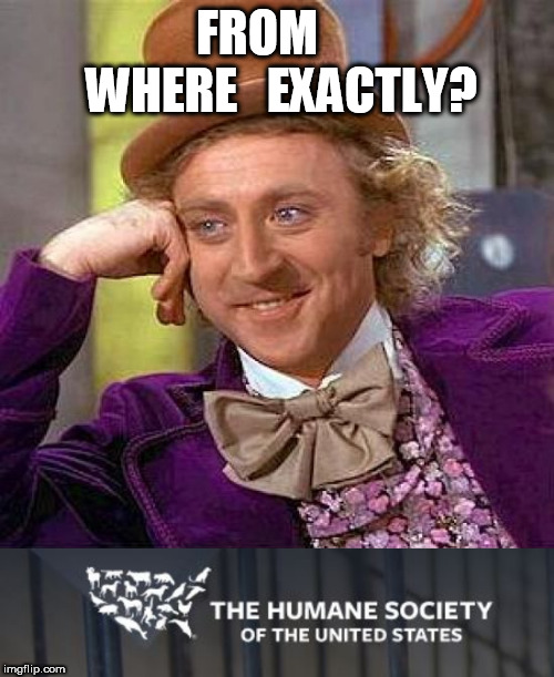 FROM     WHERE   EXACTLY? | image tagged in memes,creepy condescending wonka | made w/ Imgflip meme maker