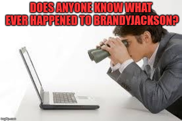 She was one of my favorite people. I miss her hilarity. | DOES ANYONE KNOW WHAT EVER HAPPENED TO BRANDYJACKSON? | image tagged in searching computer,memes,nixieknox | made w/ Imgflip meme maker