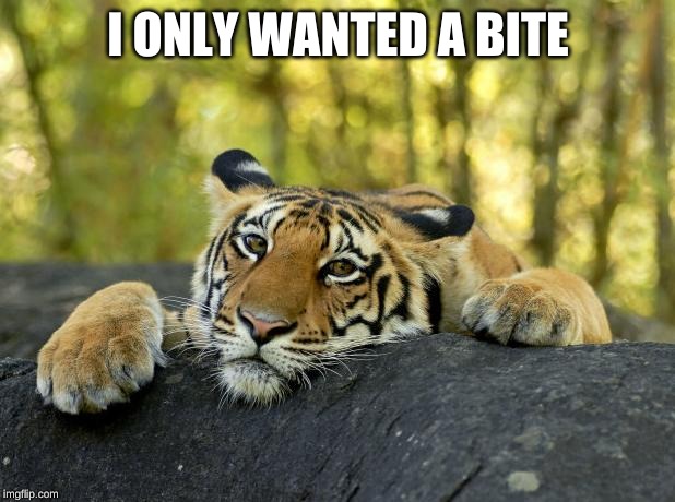 Confession Tiger | I ONLY WANTED A BITE | image tagged in confession tiger | made w/ Imgflip meme maker