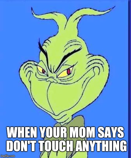 Good Grinch | WHEN YOUR MOM SAYS DON'T TOUCH ANYTHING | image tagged in good grinch | made w/ Imgflip meme maker