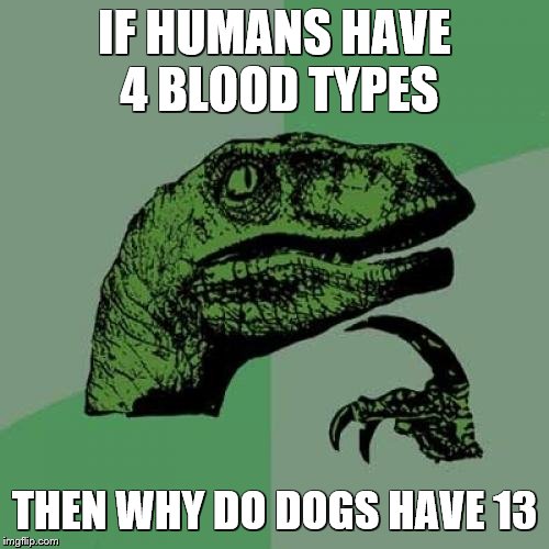 Philosoraptor Meme | IF HUMANS HAVE 4 BLOOD TYPES; THEN WHY DO DOGS HAVE 13 | image tagged in memes,philosoraptor,there will be blood,dogs | made w/ Imgflip meme maker