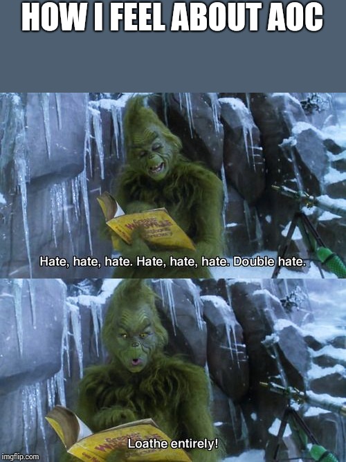 Grinch | HOW I FEEL ABOUT AOC | image tagged in grinch | made w/ Imgflip meme maker