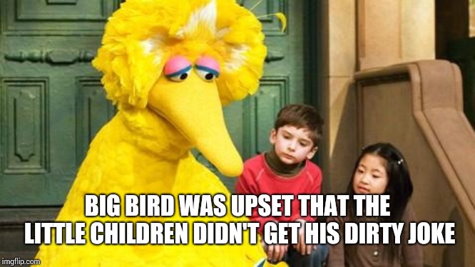Sad Big Bird | BIG BIRD WAS UPSET THAT THE LITTLE CHILDREN DIDN'T GET HIS DIRTY JOKE | image tagged in sad big bird | made w/ Imgflip meme maker