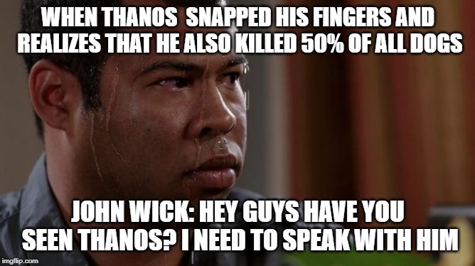 Thanos vs john wick | WHEN THANOS  SNAPPED HIS FINGERS AND REALIZES THAT HE ALSO KILLED 50% OF ALL DOGS; JOHN WICK: HEY GUYS HAVE YOU SEEN THANOS? I NEED TO SPEAK WITH HIM | image tagged in sweating bullets | made w/ Imgflip meme maker