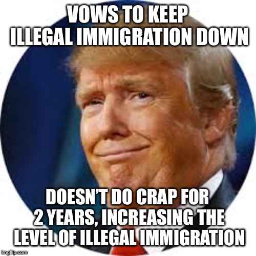 Trump stupid face jowls | VOWS TO KEEP ILLEGAL IMMIGRATION DOWN; DOESN’T DO CRAP FOR 2 YEARS, INCREASING THE LEVEL OF ILLEGAL IMMIGRATION | image tagged in trump stupid face jowls | made w/ Imgflip meme maker