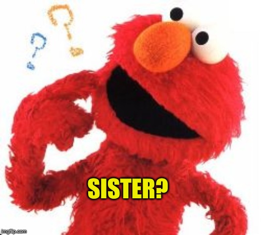 Elmo Questions | SISTER? | image tagged in elmo questions | made w/ Imgflip meme maker