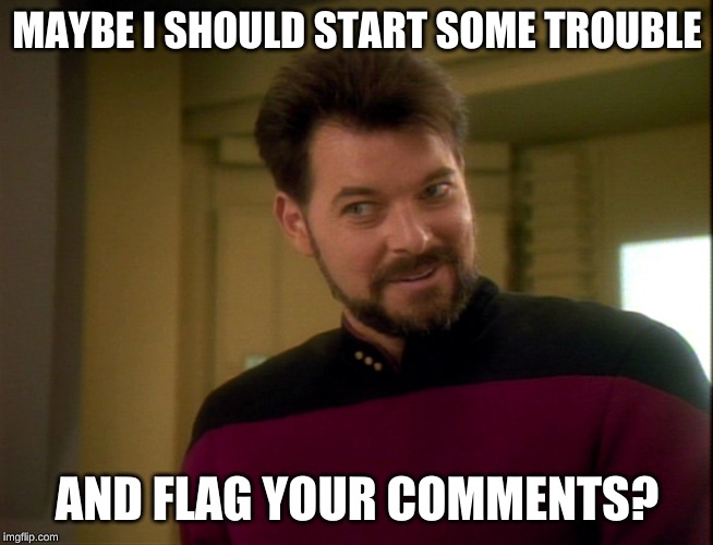 Riker Lets Start Some Trouble | MAYBE I SHOULD START SOME TROUBLE AND FLAG YOUR COMMENTS? | image tagged in riker lets start some trouble | made w/ Imgflip meme maker