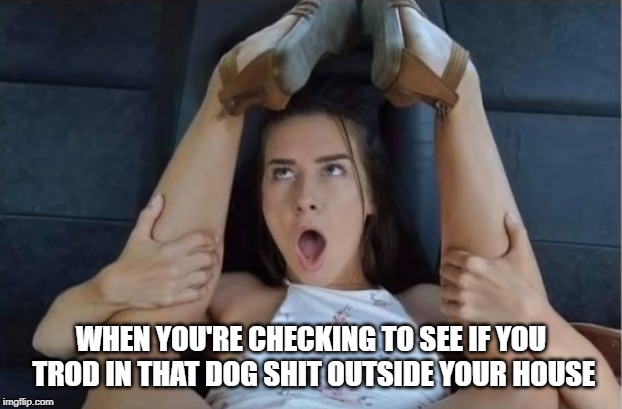 i can smell something | WHEN YOU'RE CHECKING TO SEE IF YOU TROD IN THAT DOG SHIT OUTSIDE YOUR HOUSE | image tagged in shoe,dog | made w/ Imgflip meme maker