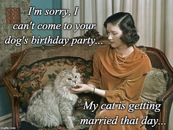 Birthday Party... | I'm sorry, I can't come to your dog's birthday party... My cat is getting married that day... | image tagged in dog,cat,birthday,married,day | made w/ Imgflip meme maker