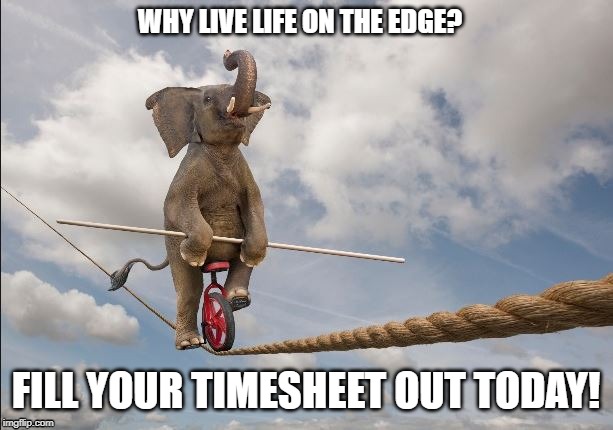WHY LIVE LIFE ON THE EDGE? FILL YOUR TIMESHEET OUT TODAY! | image tagged in timesheet reminder | made w/ Imgflip meme maker