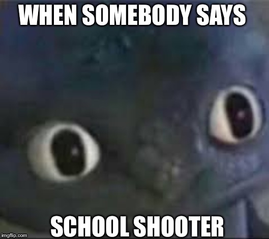 Toothless ._. face | WHEN SOMEBODY SAYS; SCHOOL SHOOTER | image tagged in toothless _ face | made w/ Imgflip meme maker