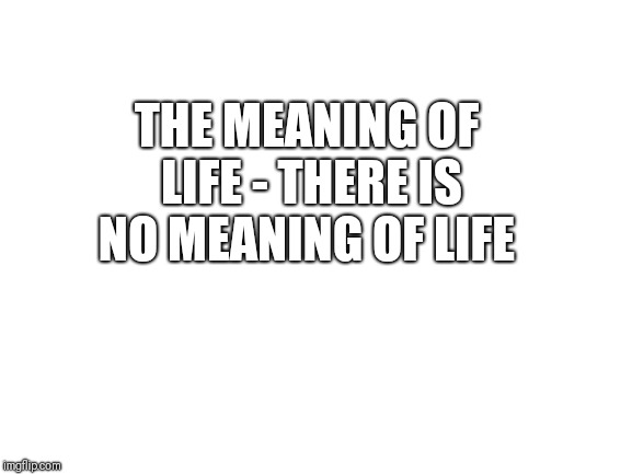 Blank White Template | THE MEANING OF LIFE - THERE IS NO MEANING OF LIFE | image tagged in blank white template | made w/ Imgflip meme maker