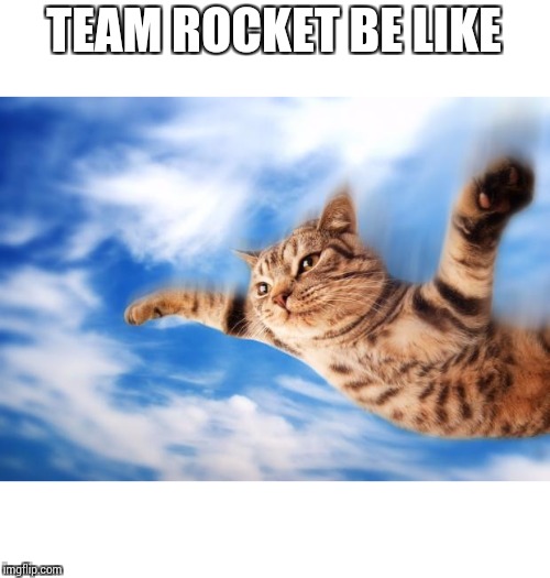 Flying-cat | TEAM ROCKET BE LIKE | image tagged in flying-cat | made w/ Imgflip meme maker