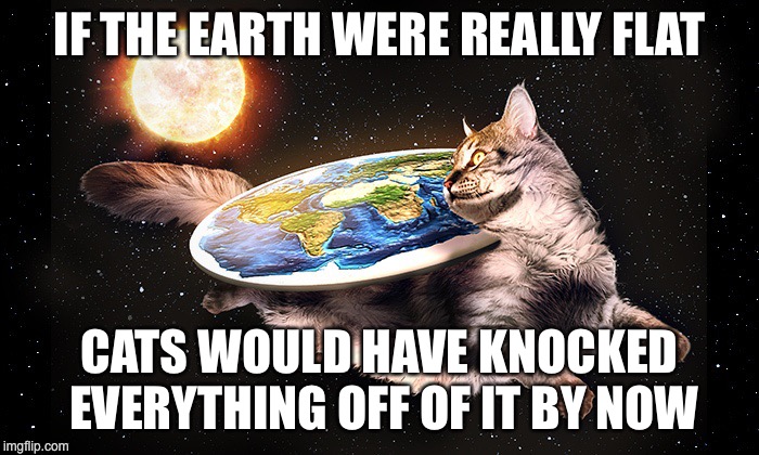 Flat Earth Cat | IF THE EARTH WERE REALLY FLAT; CATS WOULD HAVE KNOCKED EVERYTHING OFF OF IT BY NOW | image tagged in flat earth cat | made w/ Imgflip meme maker
