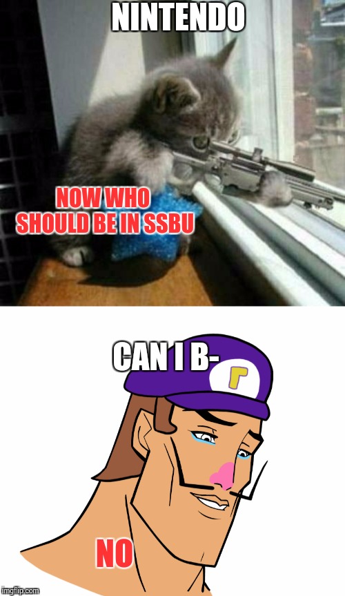NINTENDO; NOW WHO SHOULD BE IN SSBU; CAN I B-; NO | image tagged in waluigi,sniper cat | made w/ Imgflip meme maker