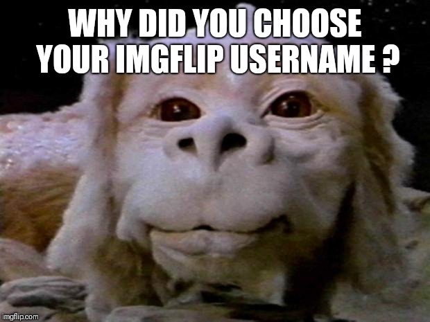I honestly don't know why I chose mine | WHY DID YOU CHOOSE YOUR IMGFLIP USERNAME ? | image tagged in falcor,just curious | made w/ Imgflip meme maker
