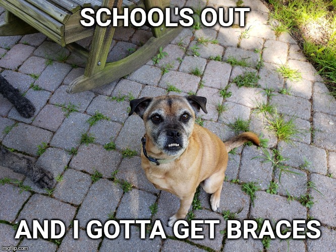 Dawn Flyer | SCHOOL'S OUT; AND I GOTTA GET BRACES | image tagged in dawn flyer | made w/ Imgflip meme maker
