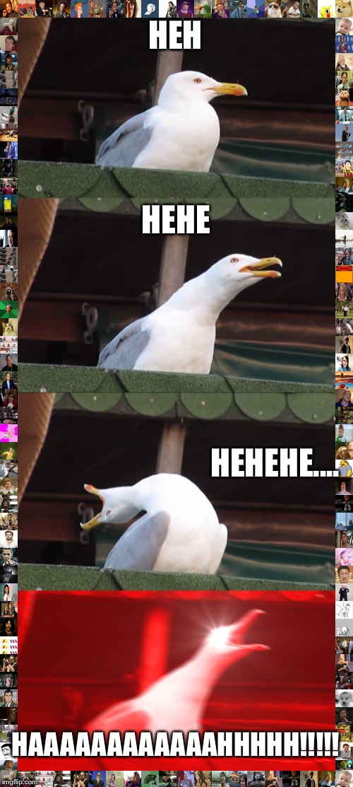 Inhaling Seagull | HEH; HEHE; HEHEHE.... HAAAAAAAAAAAAHHHHH!!!!! | image tagged in memes,inhaling seagull | made w/ Imgflip meme maker