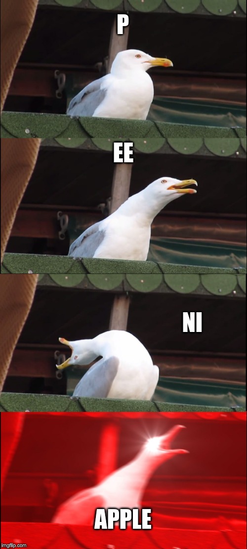 Inhaling Seagull | P; EE; NI; APPLE | image tagged in memes,inhaling seagull | made w/ Imgflip meme maker
