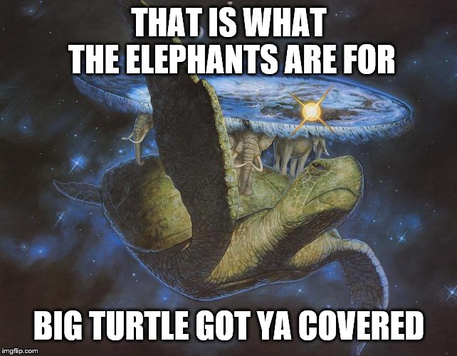 THAT IS WHAT THE ELEPHANTS ARE FOR BIG TURTLE GOT YA COVERED | made w/ Imgflip meme maker