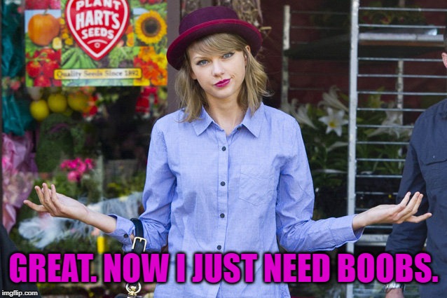 Taylor Swift Shrug | GREAT. NOW I JUST NEED BOOBS. | image tagged in taylor swift shrug | made w/ Imgflip meme maker
