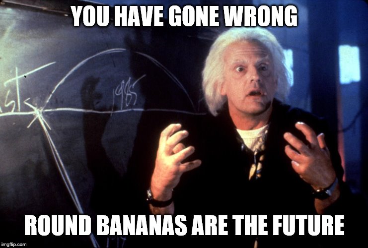 YOU HAVE GONE WRONG ROUND BANANAS ARE THE FUTURE | made w/ Imgflip meme maker