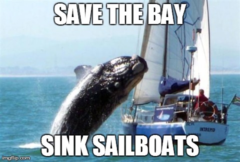 SAVE THE BAY SINK SAILBOATS | image tagged in whal boat | made w/ Imgflip meme maker