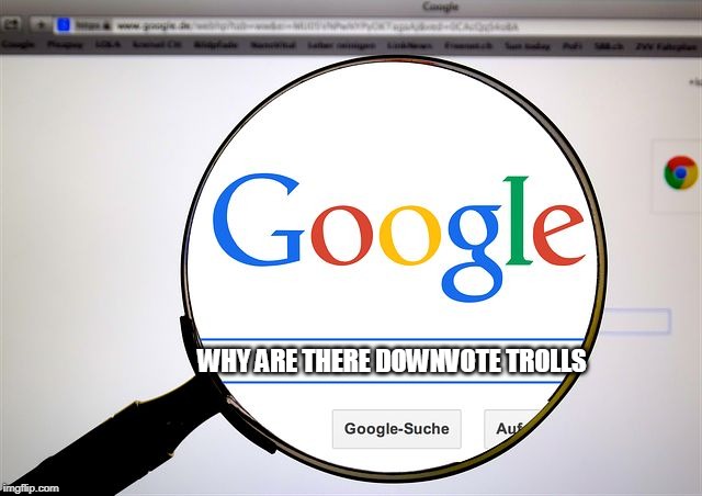Google search | WHY ARE THERE DOWNVOTE TROLLS | image tagged in google search | made w/ Imgflip meme maker