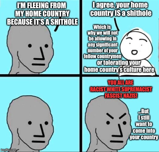 NPC Meme | I agree, your home country IS a shithole; I’M FLEEING FROM MY HOME COUNTRY BECAUSE IT’S A SHITHOLE; Which is why we will not be allowing in any significant number of your fellow countrymen; or tolerating your home country’s culture here; YOU ALL ARE RACIST WHITE SUPREMACIST FASCIST NAZIS! ...But I still want to come into your country | image tagged in npc meme | made w/ Imgflip meme maker
