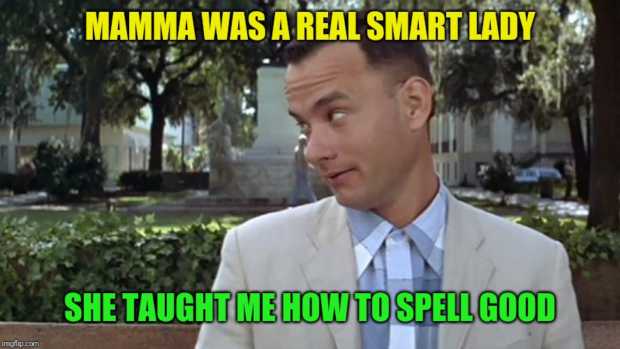 Forrest Gump Face | MAMMA WAS A REAL SMART LADY SHE TAUGHT ME HOW TO SPELL GOOD | image tagged in forrest gump face | made w/ Imgflip meme maker