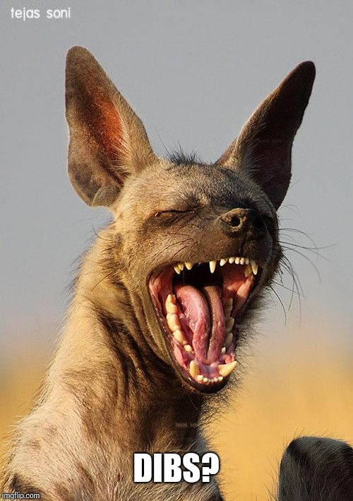 laughing hyena | DIBS? | image tagged in laughing hyena | made w/ Imgflip meme maker