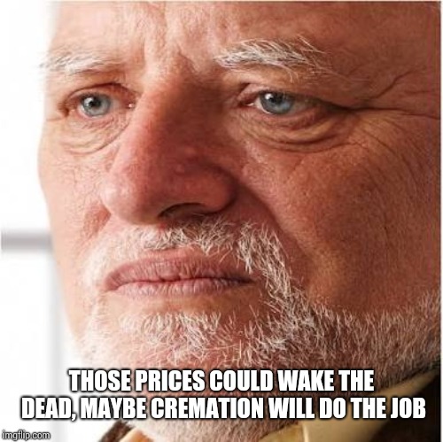 Harold sad | THOSE PRICES COULD WAKE THE DEAD, MAYBE CREMATION WILL DO THE JOB | image tagged in harold sad | made w/ Imgflip meme maker