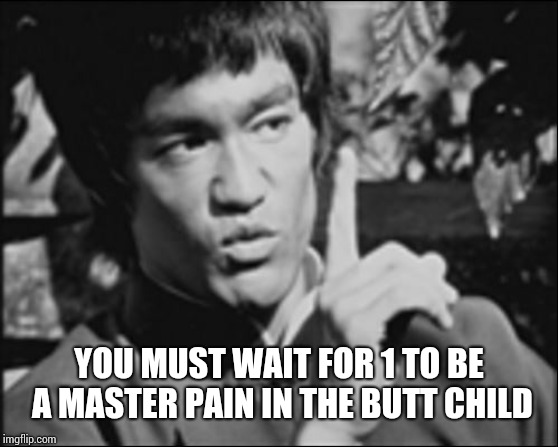 One Bruce Lee | YOU MUST WAIT FOR 1 TO BE A MASTER PAIN IN THE BUTT CHILD | image tagged in one bruce lee | made w/ Imgflip meme maker