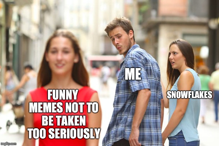 Distracted Boyfriend Meme | FUNNY MEMES NOT TO BE TAKEN TOO SERIOUSLY ME SNOWFLAKES | image tagged in memes,distracted boyfriend | made w/ Imgflip meme maker