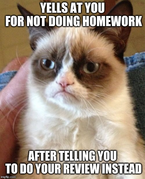 Grumpy Cat Meme | YELLS AT YOU FOR NOT DOING HOMEWORK; AFTER TELLING YOU TO DO YOUR REVIEW INSTEAD | image tagged in memes,grumpy cat | made w/ Imgflip meme maker