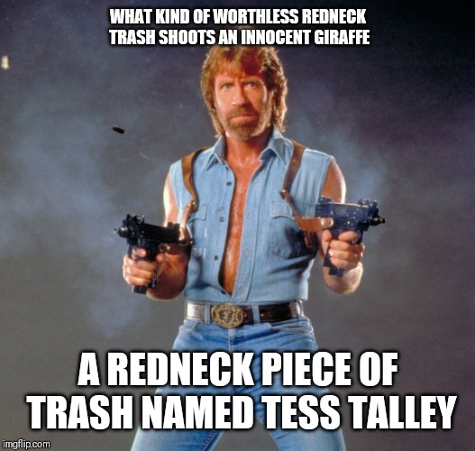 Chuck Norris Guns Meme | WHAT KIND OF WORTHLESS REDNECK TRASH SHOOTS AN INNOCENT GIRAFFE; A REDNECK PIECE OF TRASH NAMED TESS TALLEY | image tagged in memes,chuck norris guns,chuck norris | made w/ Imgflip meme maker