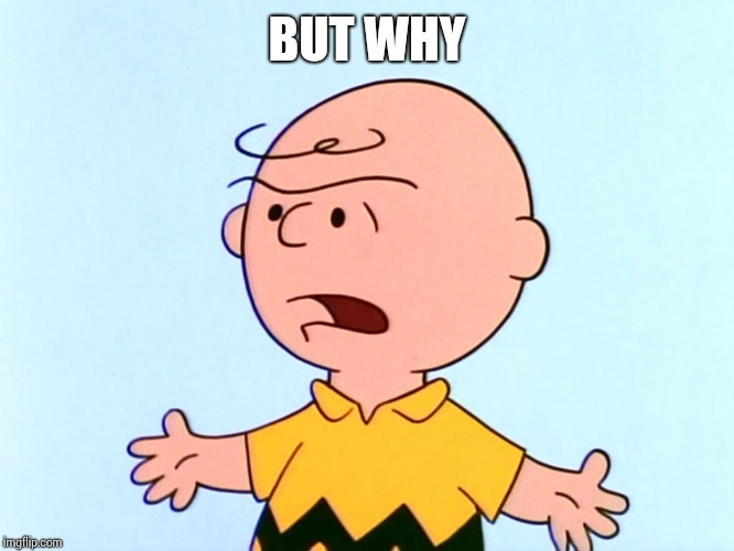 Angry Charlie Brown | BUT WHY | image tagged in angry charlie brown | made w/ Imgflip meme maker