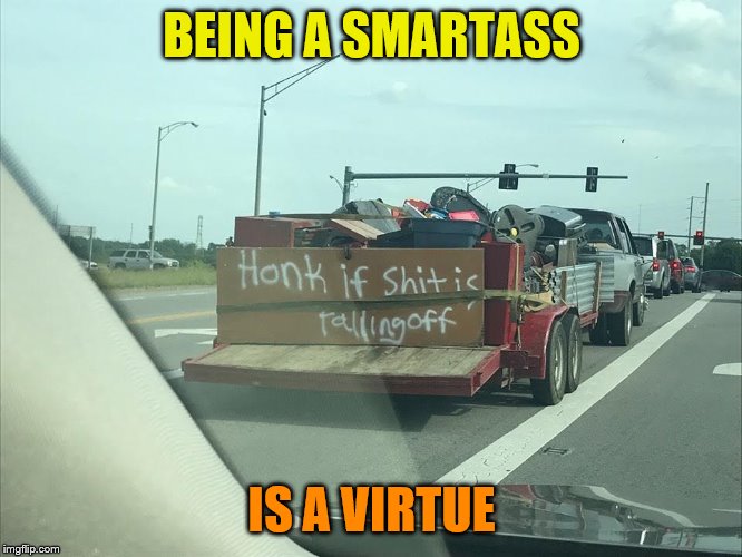 BEING A SMARTASS; IS A VIRTUE | image tagged in funny memes,america,lol | made w/ Imgflip meme maker