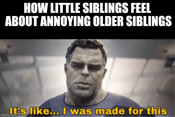 It's like I was made for this | HOW LITTLE SIBLINGS FEEL ABOUT ANNOYING OLDER SIBLINGS | image tagged in it's like i was made for this | made w/ Imgflip meme maker